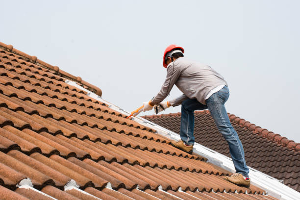Best Rubber Roofing (EPDM, TPO)  in Warrior, AL