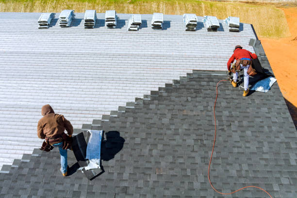 Best Storm Damage Roof Repair  in Warrior, AL