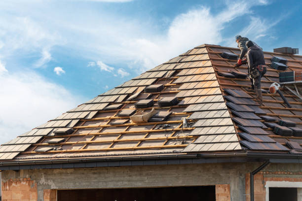 Best Solar Panel Roofing Installation  in Warrior, AL