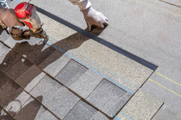Best Roof Insulation Installation  in Warrior, AL